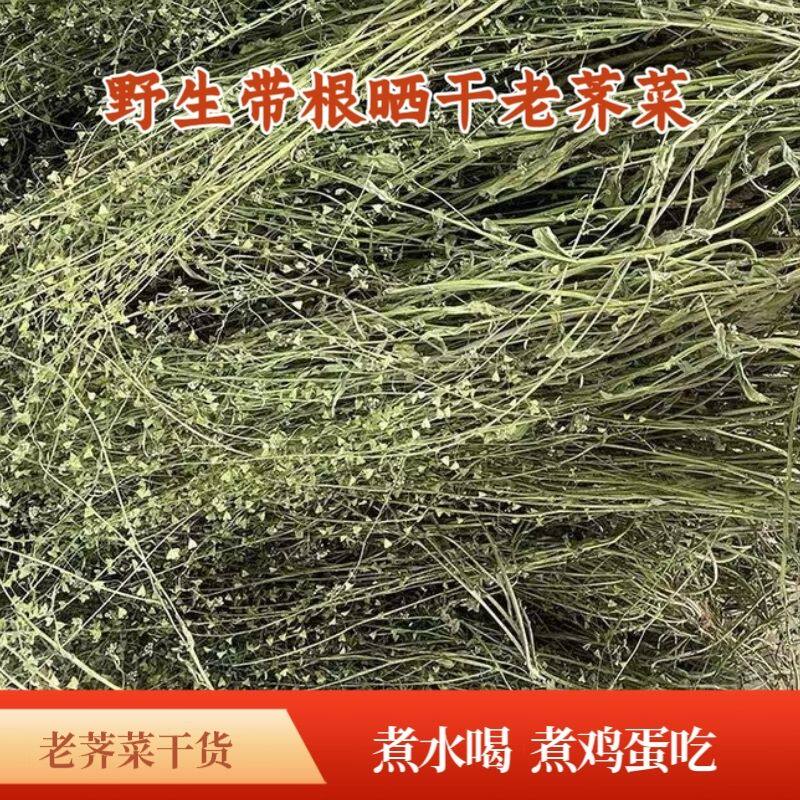 野生老荠菜花干货有花籽整株带根晒干荠菜干货月子煮水喝煮鸡蛋吃图片