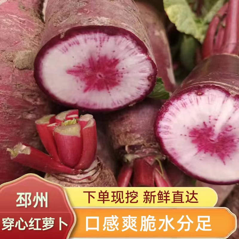 红萝卜新鲜甜脆红萝卜无