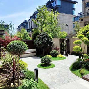 别墅花园庭院打造花镜设计植物绿植搭配花境组合耐寒耐热亮室外