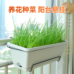 长条长方形养花神器家庭阳台种菜花盆挂式 挂起来 V塑料霍伦盆种