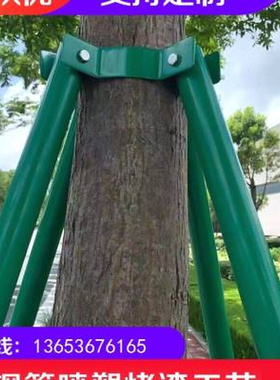 镀锌乔木金属大树固定器s钢管支z伸缩杆抱箍绿色园林苗木树木支撑