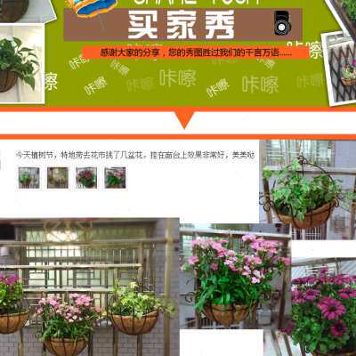 半壁挂花盆墙上 墙壁阳台植物绿萝盆吊兰悬挂式花盘花篮挂壁 挂墙