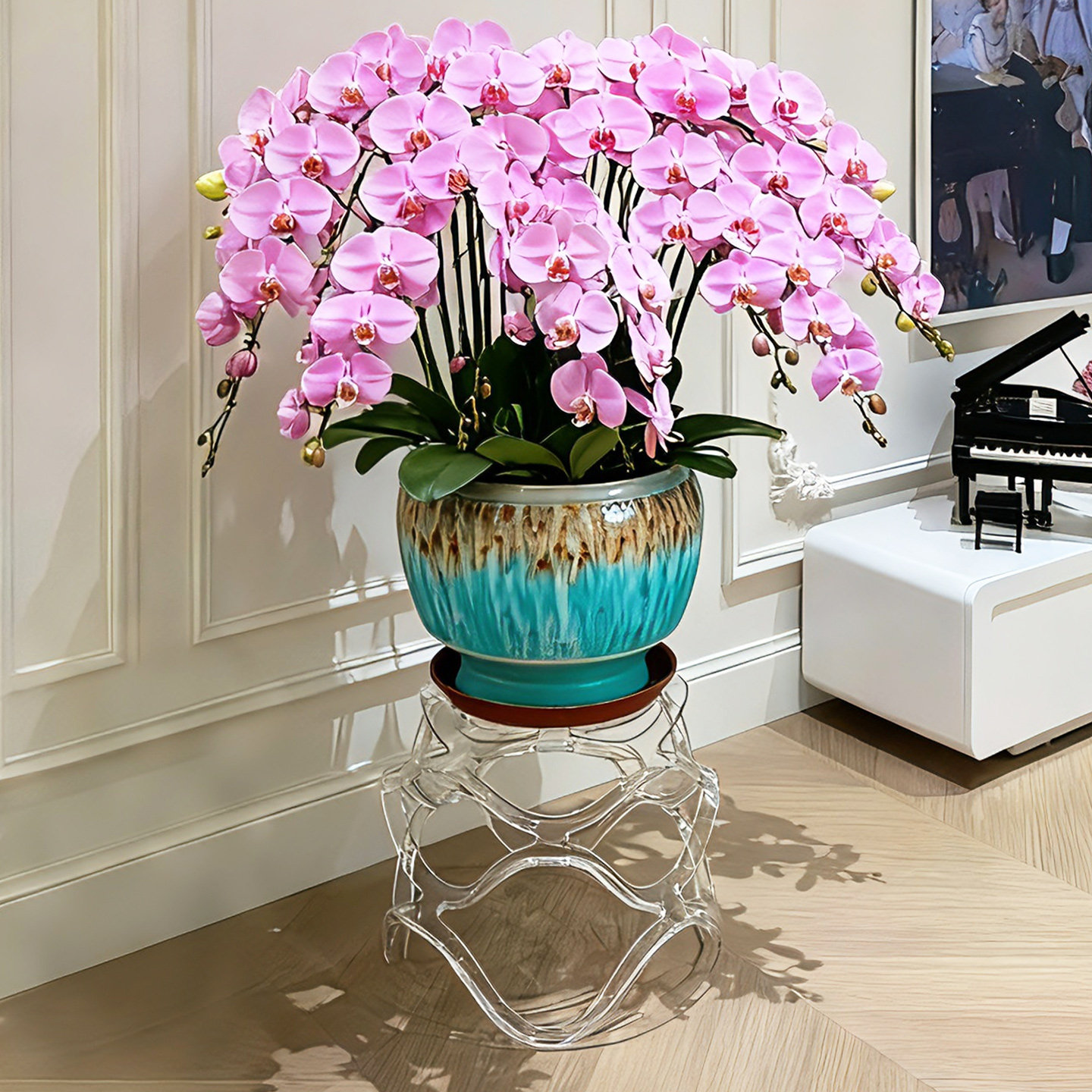 蝴蝶兰花架亚克力透明盆景托架