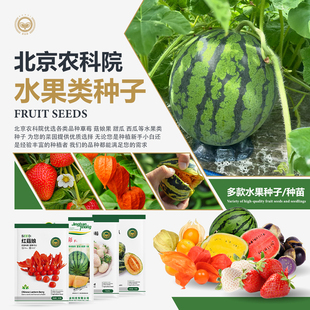 农科院水果种子麒麟西瓜苗羊角蜜甜瓜红颜草莓苗菇娘果秋葵种籽孑