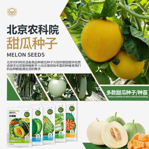 农科院甜瓜种子羊角蜜脆酥薄皮香甜绿宝甜瓜庭院阳台蔬菜瓜果种子