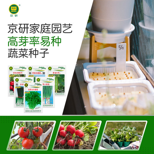 京研四季种植家庭园艺蔬菜种子