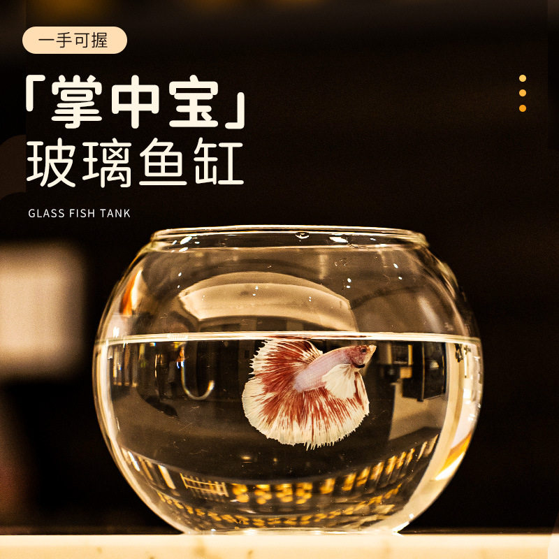 圆玻璃金鱼缸迷你桌面上艺术品