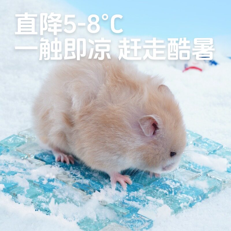 仓鼠冰垫夏日降温神器