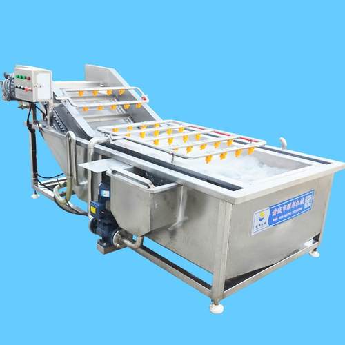 虾米清洗设备 工业大型全自动鼓泡喷淋式海带清洗机器 海蜇清洗机