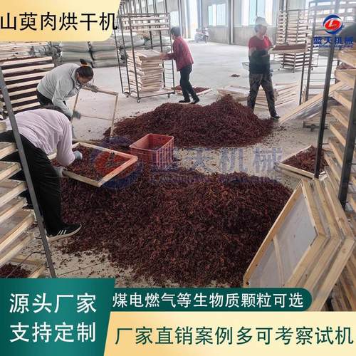 山萸肉烘干机 中药山茱萸电烤房 枣皮山芋肉山枸杞除湿烘干房商用