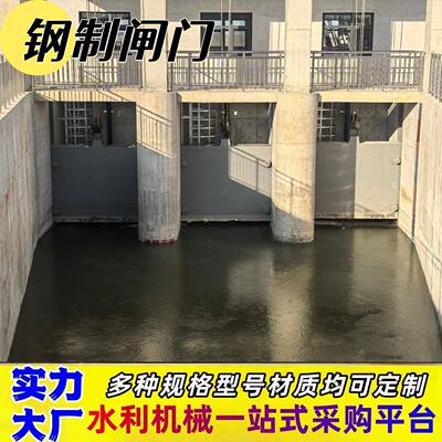 钢制闸门平面止水闸门水渠碳钢水利机械电动渠道机闸一体式钢闸门