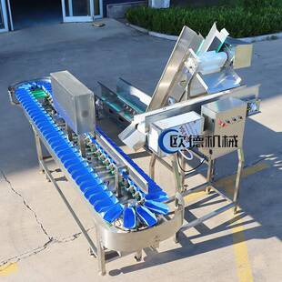 鱼块重量分选机全自动流水线比目鱼舌头鱼冻货自动上料精准称重