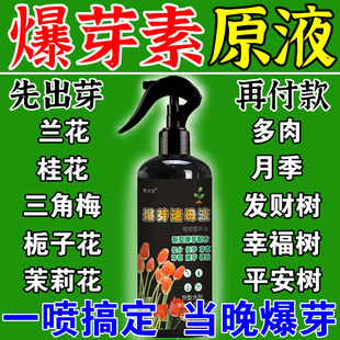 爆芽素原液三角梅月季桂花多肉植物通用优芽素老桩生根催芽分化剂