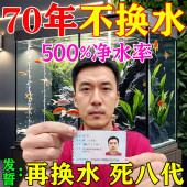 鱼缸净水剂一滴清免换水质净化绿浑浊硝化细菌池塘消毒杀菌药神器