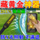 防金属探测器仪屏蔽袋手机信号物理遮蔽器藏黄金首饰盒神器便携式