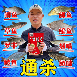 【第一名】一包搞定钓鱼饵料野钓黑坑专用鲫鲤草鳊青鱼四季通杀饵