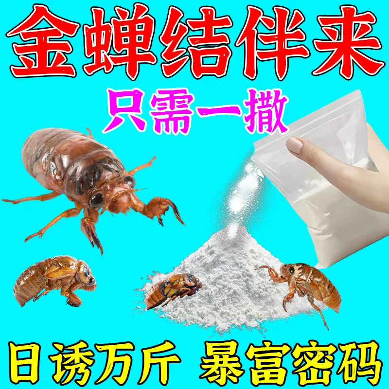 抓知了神器金蝉一扫光捉活虫专用诱捕粉【日诱万斤】捕知了工具