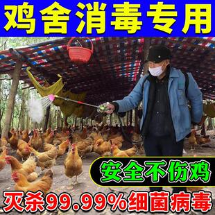 鸡舍专用消毒液养殖场猪场羊圈牛圈含二氧化氯次氯酸消毒泡腾粉片