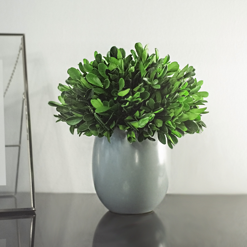 客厅玄关装饰免打理永生植物