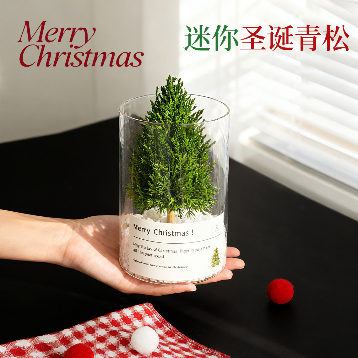桌面摆件迷你圣诞树放青松