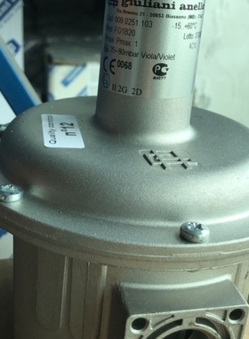 【议价】意大贵龙减压阀FG1B20减压阀FG1B15.FG1B25