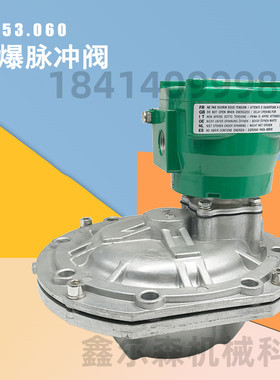 NFG353.060 C113928 R143297防爆脉冲阀淹没3英寸DN76