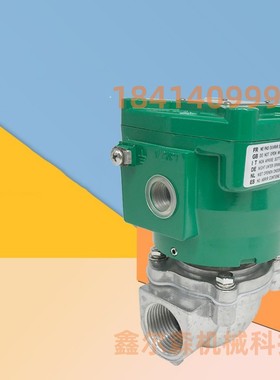 电磁脉冲阀NFG353A044 NFG353A047 隔爆脉冲阀 防爆脉冲阀