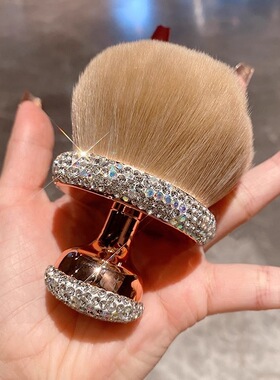 24 Pcs Brushes With Bag 带包全套美妆工具化妆刷套装