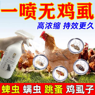 鸡虱子药喷洒鸡用加强鸡虱净驱虱子害虫跳蚤螨虫家禽体外驱虫喷雾