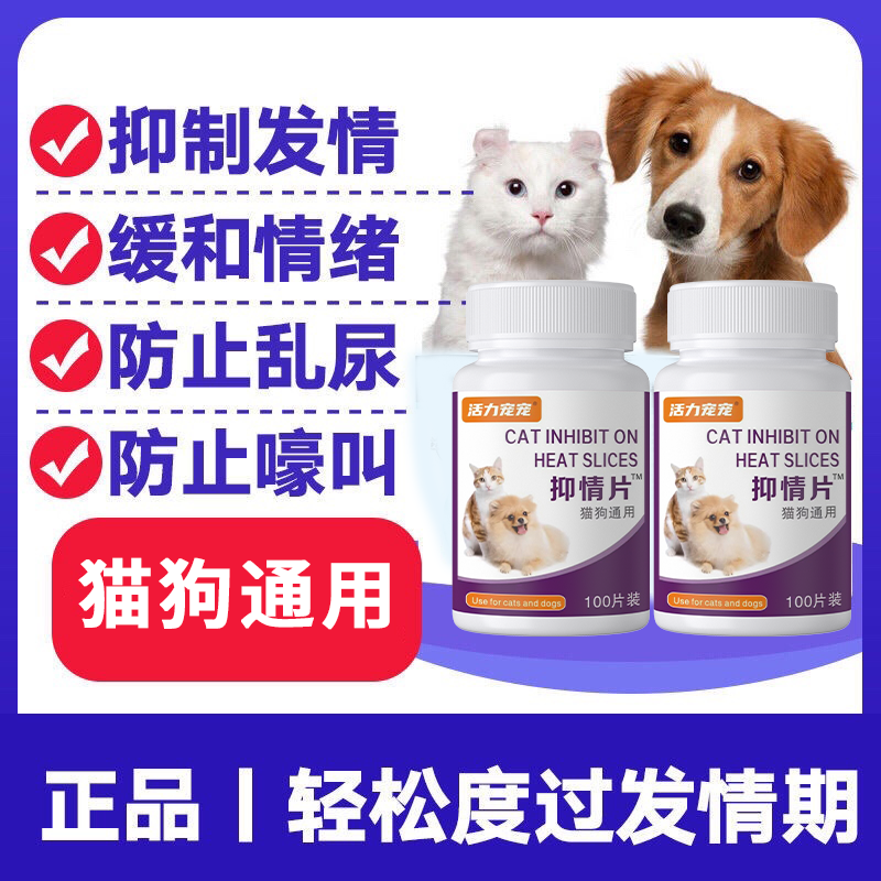 猫咪发情期母猫抑情片宠图片