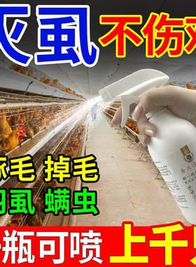 鸡虱子药喷洒鸡用加强净