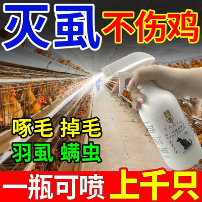 鸡虱子药喷洒鸡用加强净