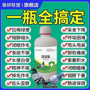 鸽瘟康赛鸽种鸽可用呕吐甩食新城疫拉水便嗉囊炎精神不振扭头歪脖