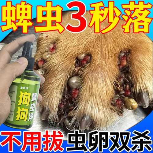 狗狗驱杀蜱虫跳蚤体外驱虫喷雾