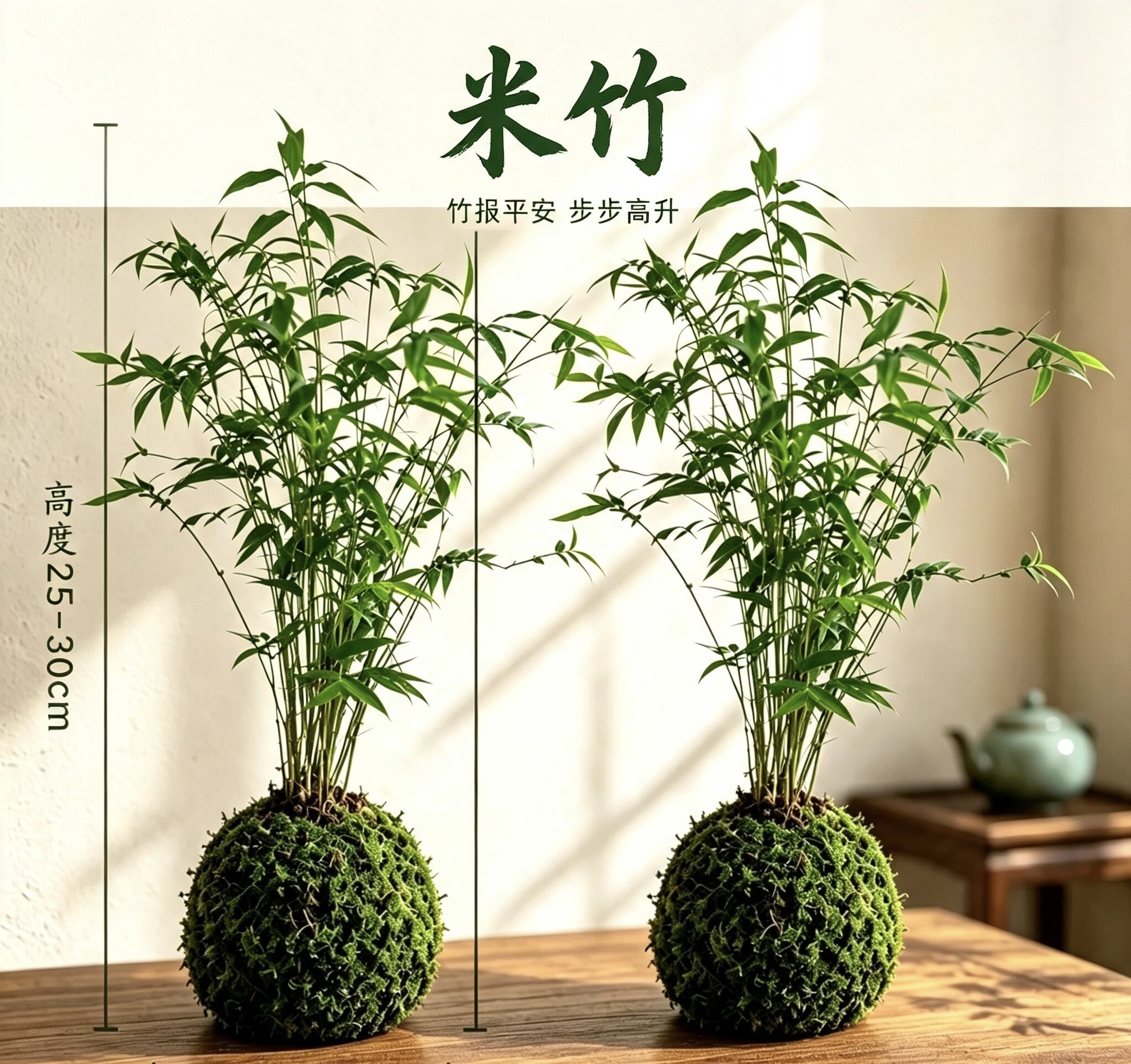 小叶米竹盆栽室内茶桌新中式凤尾竹子盆景四季常青微景观植物摆件