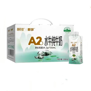 百菲酪醇菲 A2-4.2 水牛纯牛奶 250ml*10 盒整箱营养早餐奶饮品