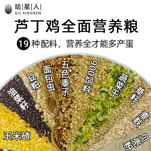咕星人芦丁鸡全面营养产蛋饲料