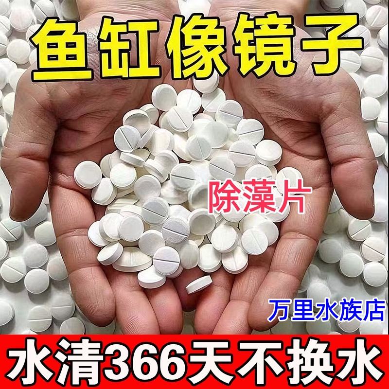 高效鱼缸除藻片绿青苔清除神器除绿水褐藻丝藻水垢净水片除臭去腥