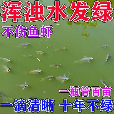 一滴清澈见底】鱼塘净水剂池塘变清鱼塘消毒杀菌净水药养鱼专用药
