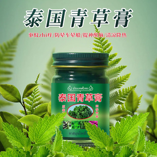 QANZIRE泰国青草膏50g正品儿童防蚊虫叮咬清凉膏草膏薄荷提神醒神