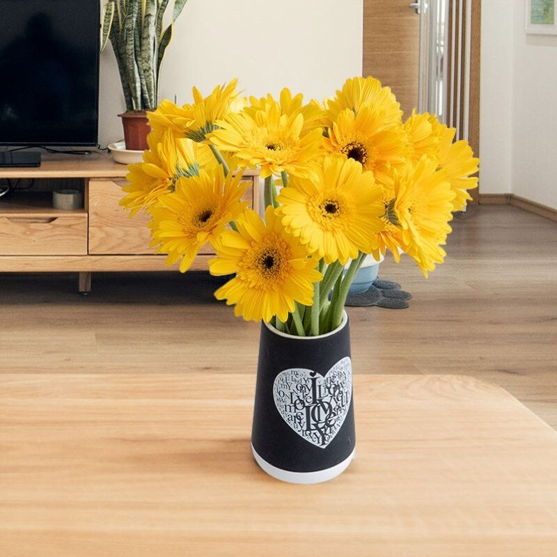 非洲菊扶郎菊束云南直发水养插花真花家庭办公会议用花20朵