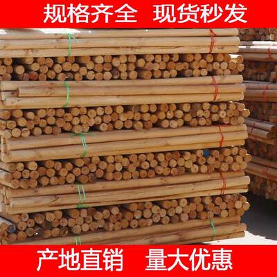 树木支撑架杆种h植捆绑固定耐热安装简单固定器公路省时简易护树