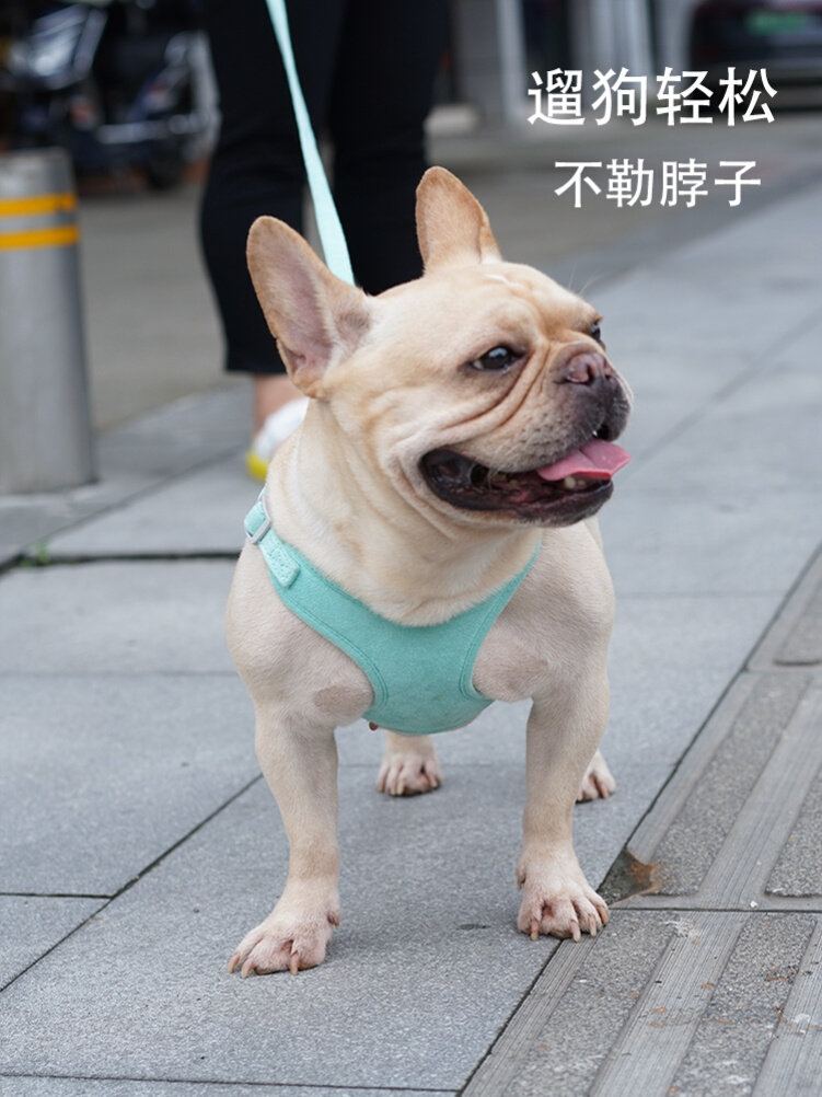 拴狗绳套脖胸背式舒适可调节胸背带室外小狗冬天栓狗绳哈士奇家用