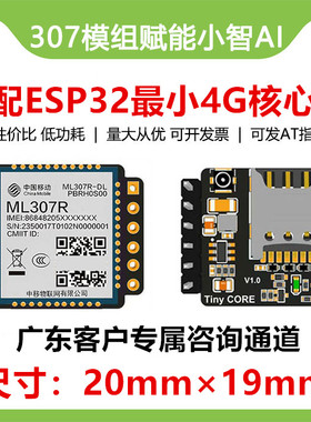 中移307R模块最小4G核心板小智AI虾哥完美适配ESP32S3支持AT指令