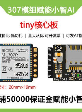 小智AI虾哥推荐ESP32S3中移ML307R模块最小4G核心板支持AT指令