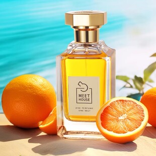 香遇沙龙香水MEETHOUSE海盐罗勒与柑橘邂逅微风中七姊妹墨檀小样