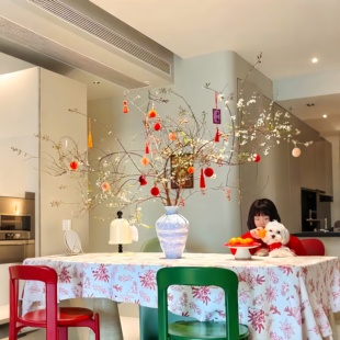 绿植挂件新年盆栽蜂窝灯笼挂饰文字小吊饰马年春节元旦客厅装饰品