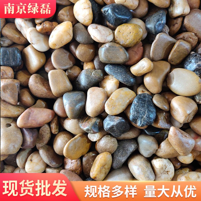 五彩抛光鹅卵石 园林盆栽彩色亮光雨花石 水池垫底庭院铺路小石子