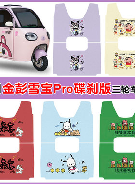 适用金彭雪宝pro碟刹版三轮车JP1000DZK-4P防水防滑丝圈脚垫定制