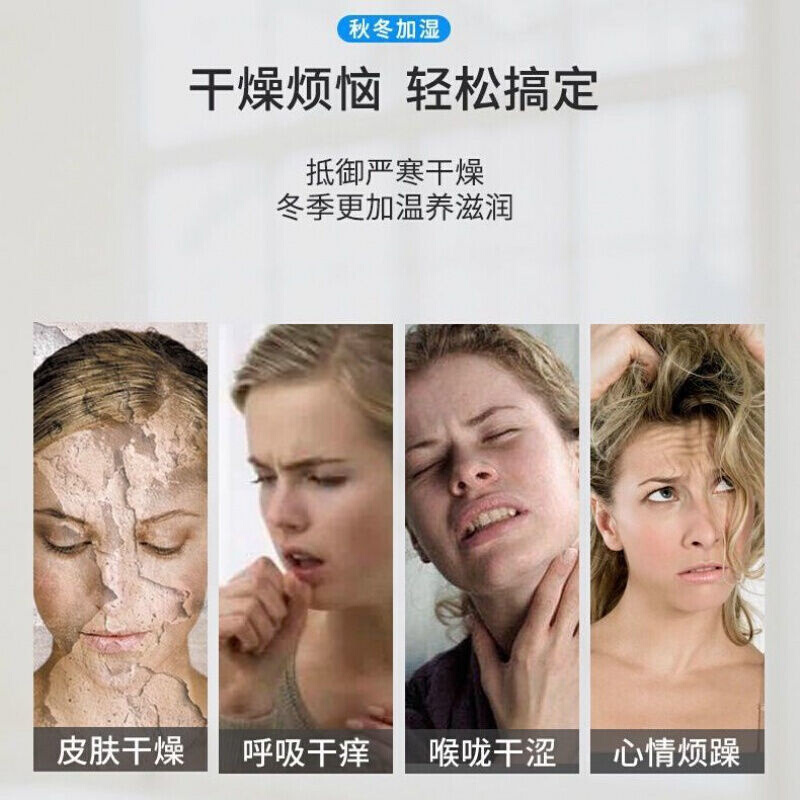 车载空气净化器加湿器家用卧室办公室静音大容量孕妇婴儿空气净化